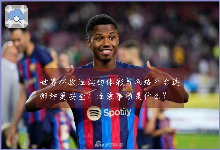 世界杯投注站的体彩与网络平台选哪种更安全？注意事项是什么？