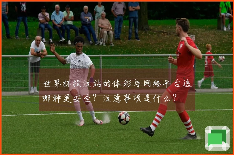 世界杯投注站的体彩与网络平台选哪种更安全？注意事项是什么？