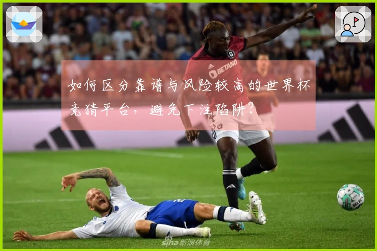 如何区分靠谱与风险较高的世界杯竞猜平台，避免下注陷阱？